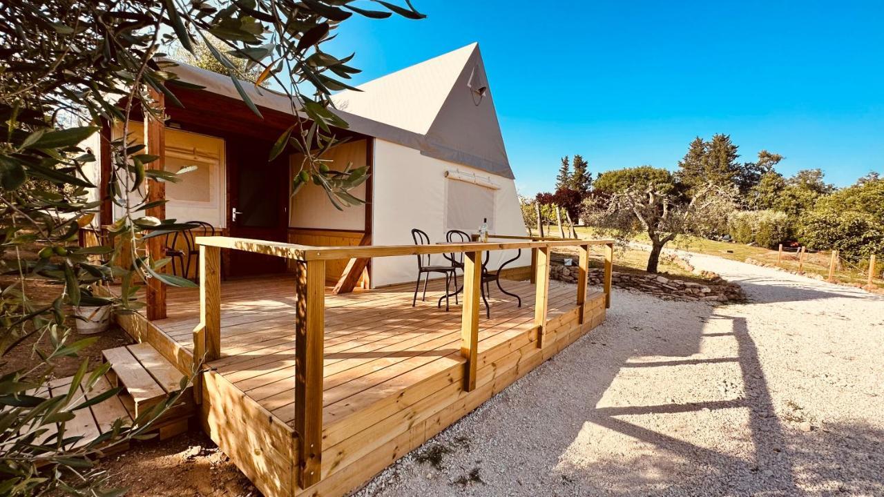 I Sicomori - Seme Di Carota - Glamping E Appartamenti Con Piscina A サトゥルニア エクステリア 写真