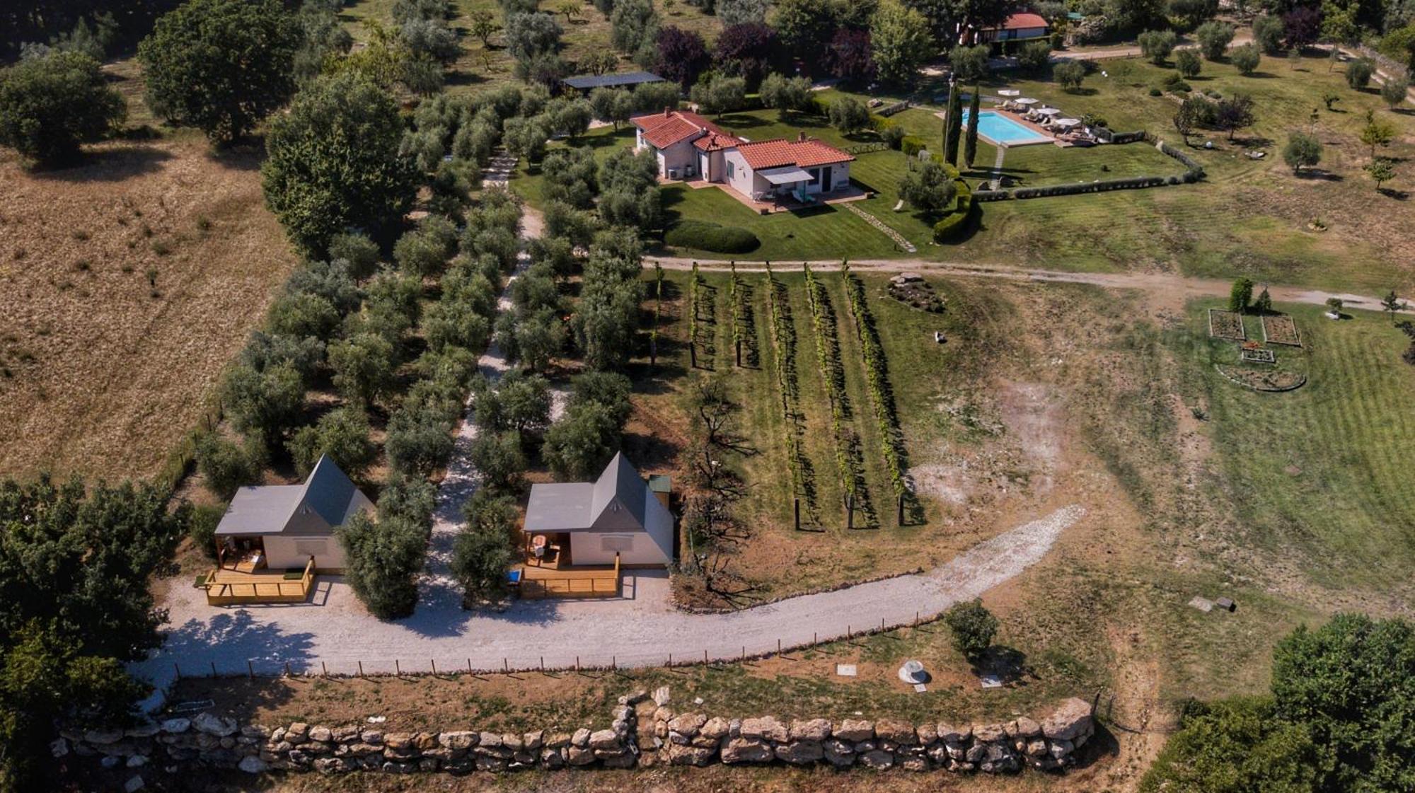 I Sicomori - Seme Di Carota - Glamping E Appartamenti Con Piscina A サトゥルニア エクステリア 写真