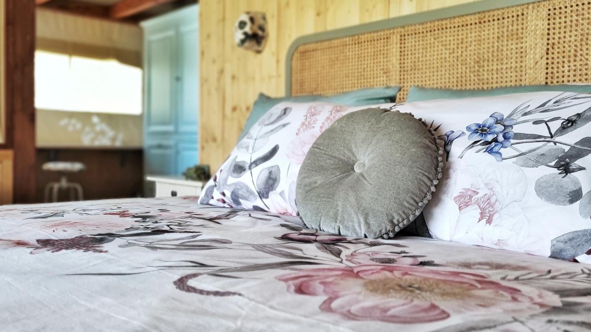 I Sicomori - Seme Di Carota - Glamping E Appartamenti Con Piscina A サトゥルニア エクステリア 写真