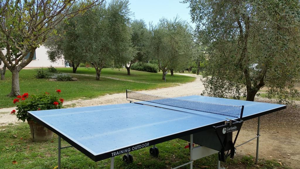 I Sicomori - Seme Di Carota - Glamping E Appartamenti Con Piscina A サトゥルニア エクステリア 写真