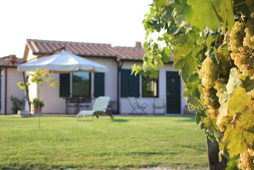 I Sicomori - Seme Di Carota - Glamping E Appartamenti Con Piscina A サトゥルニア エクステリア 写真